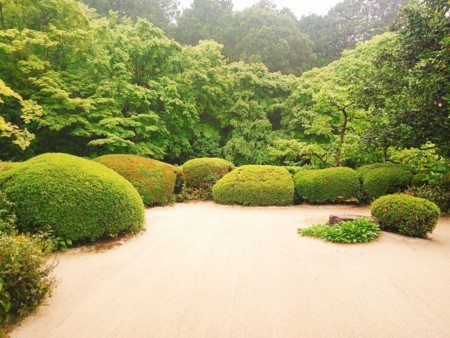 f:id:cloudy-is:20180504061552j:plain