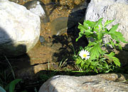 f:id:cloudy3:20080727092944j:image