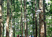 f:id:cloudy3:20080727095600j:image