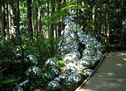 f:id:cloudy3:20080727095701j:image