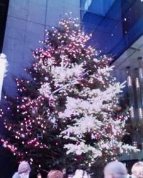 f:id:cloudy3:20091220131218j:image