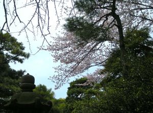 f:id:cloudy3:20100411112502j:image