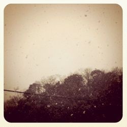f:id:cloudy3:20101230214735j:image