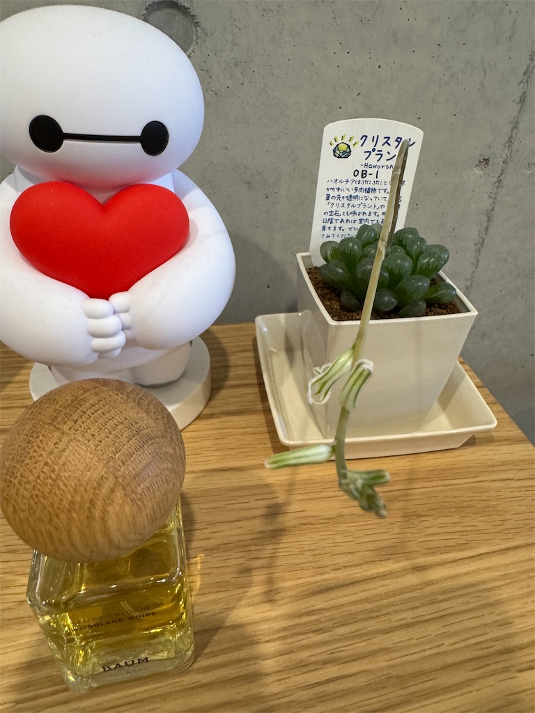 f:id:cloudythansunny:20260430235420j:image