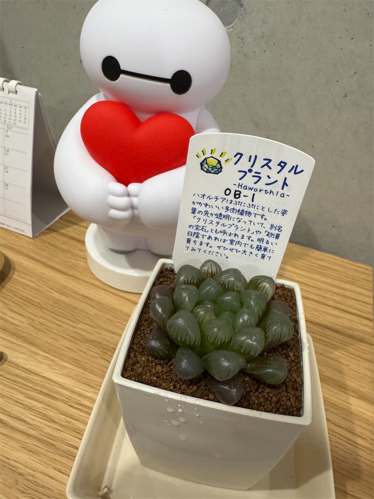f:id:cloudythansunny:20260430235503j:image
