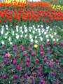 20100430101051
