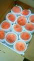 いただきます