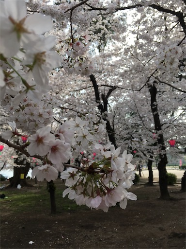 f:id:clover84:20180327085934j:image