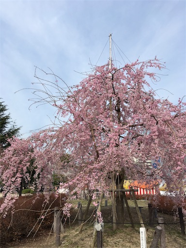 f:id:clover84:20180327085955j:image