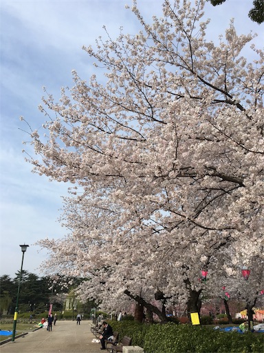 f:id:clover84:20180327090034j:image
