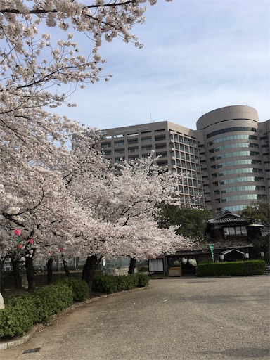 f:id:clover84:20180327090047j:image