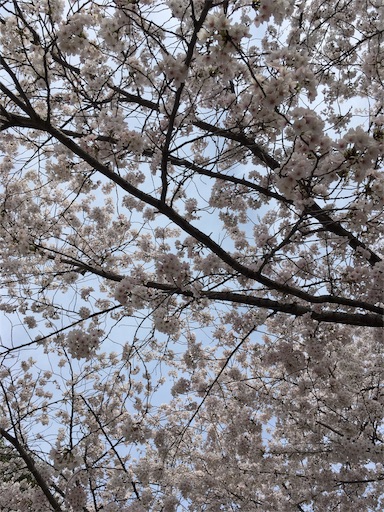 f:id:clover84:20180327090101j:image