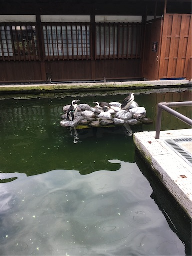 f:id:clover84:20180702102549j:image