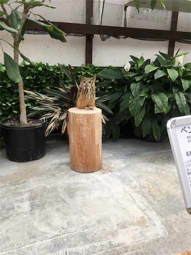 f:id:clover84:20180702102630j:image