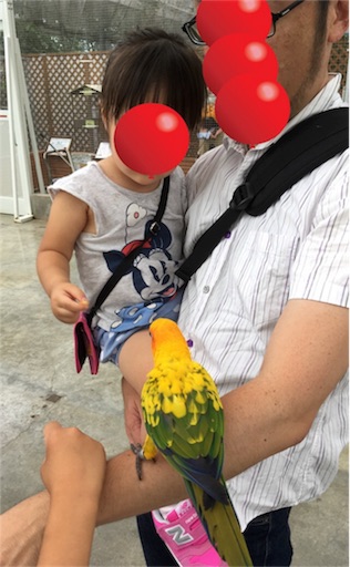 f:id:clover84:20180702102718j:image