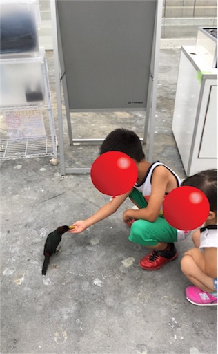 f:id:clover84:20180702102727j:image