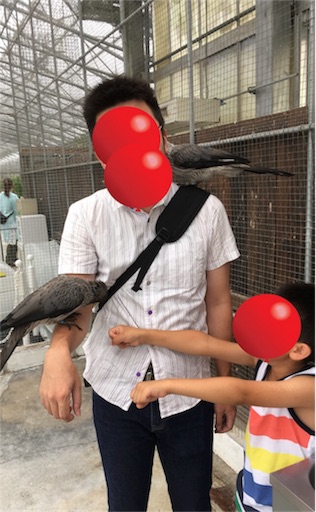 f:id:clover84:20180702102748j:image