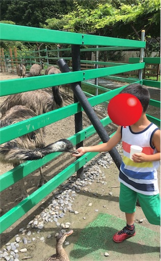 f:id:clover84:20180702102811j:image