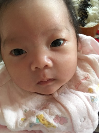 f:id:clover84:20181218124751j:image