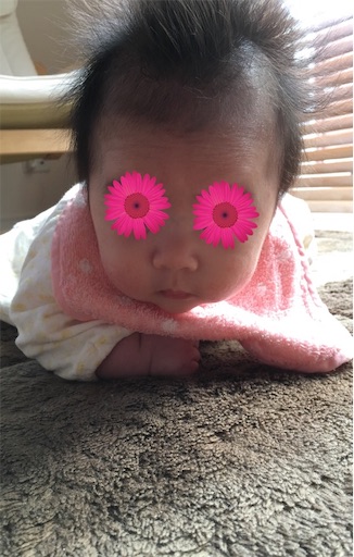 f:id:clover84:20190130131651j:image f:id:clover84:20190130131651j:image