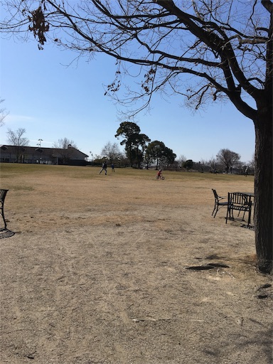 f:id:clover84:20190225132232j:image