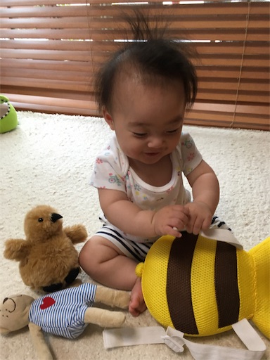 f:id:clover84:20190528135549j:image f:id:clover84:20190528135549j:image