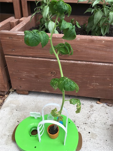 f:id:clover84:20190614121457j:image f:id:clover84:20190614121457j:image