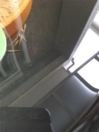f:id:clover84:20190701122814j:image