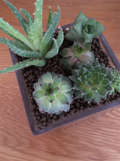 f:id:clover84:20190710143141j:image f:id:clover84:20190710143141j:image