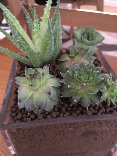 f:id:clover84:20190710143219j:image f:id:clover84:20190710143219j:image
