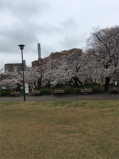 f:id:clover84:20200402120116j:image f:id:clover84:20200402120116j:image