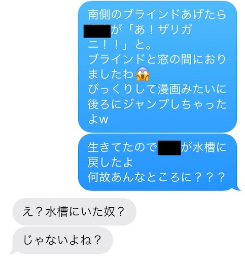 f:id:clover84:20201027123555j:image