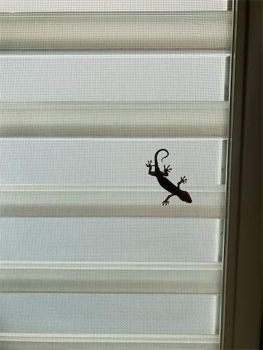 f:id:clover84:20210714121628j:image f:id:clover84:20210714121628j:image