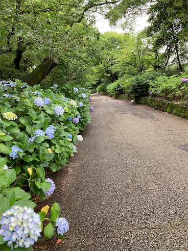 f:id:clover84:20220616122927j:image