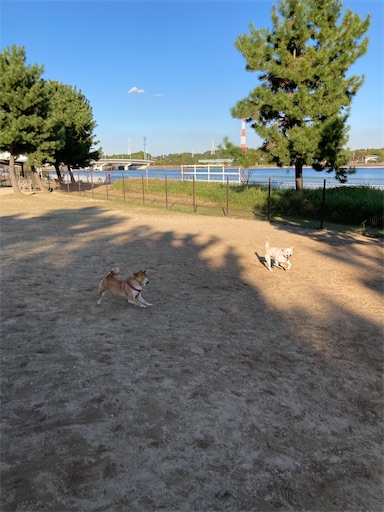 f:id:clover84:20221107123337j:image