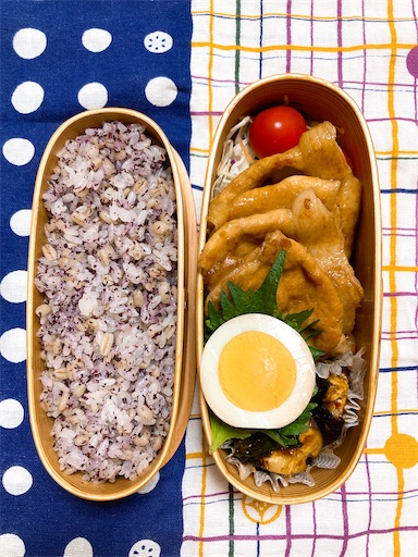 f:id:clover84:20230427122510j:image