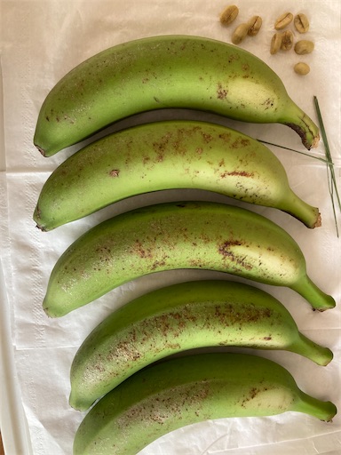 f:id:clover84:20230427124817j:image