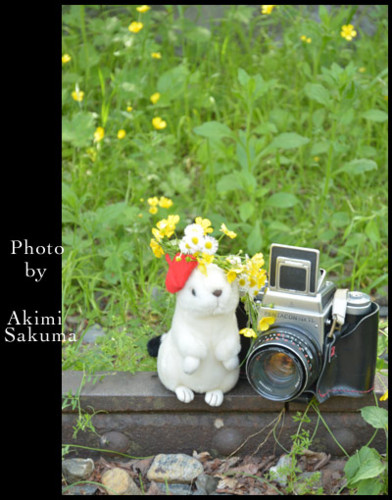 f:id:cloverxx:20140623000719j:image f:id:cloverxx:20140623000719j:image