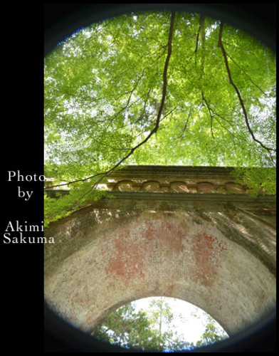 f:id:cloverxx:20140623000724j:image f:id:cloverxx:20140623000724j:image
