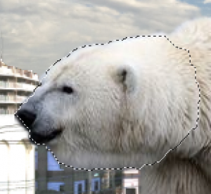 スクリーンショット 2015-12-18 13.19.10