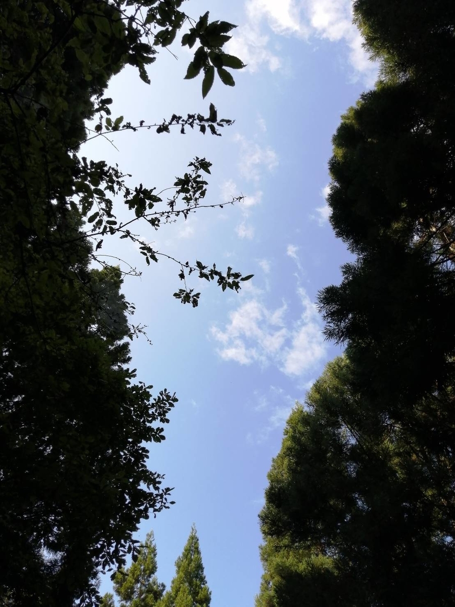 f:id:clton:20210907210537j:plain