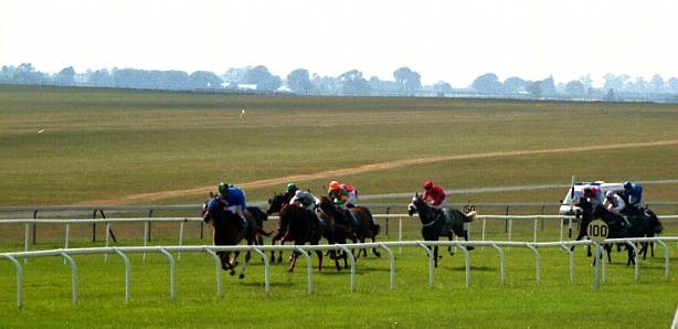 世界の競馬場アイルランド Club馬券 オッズ理論から算出した統計学3連単投資