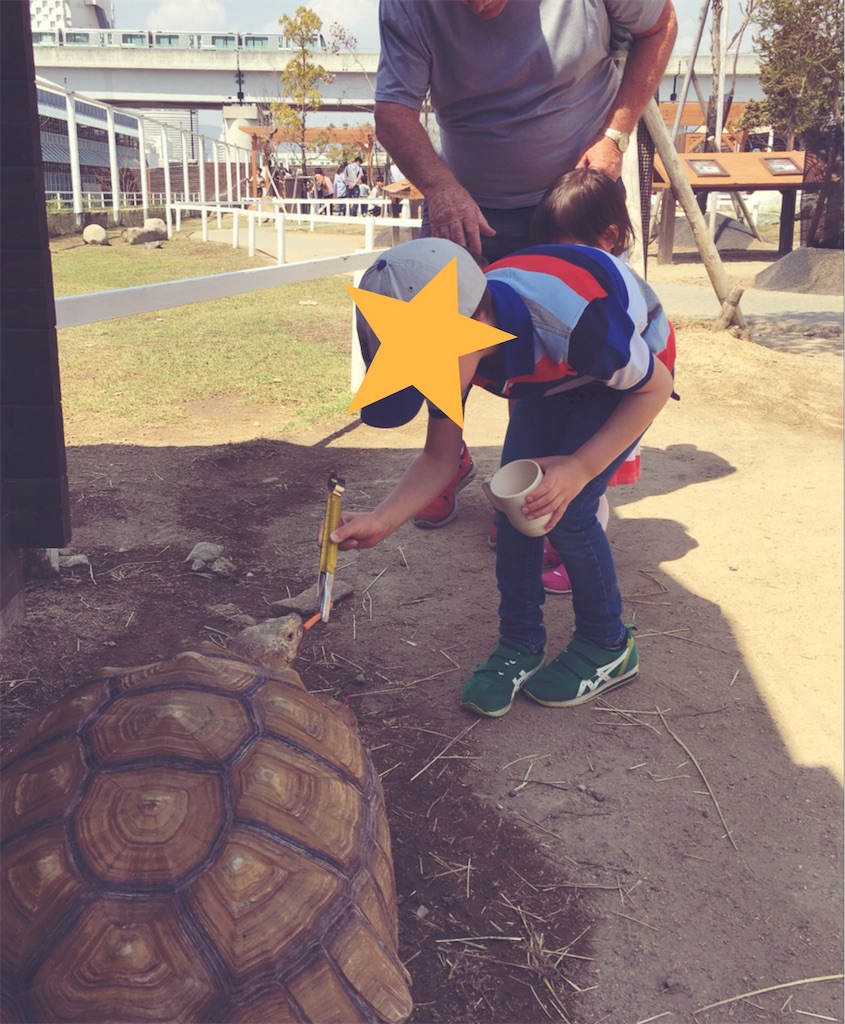 f:id:clumsymum:20180405231841j:image f:id:clumsymum:20180405231841j:image