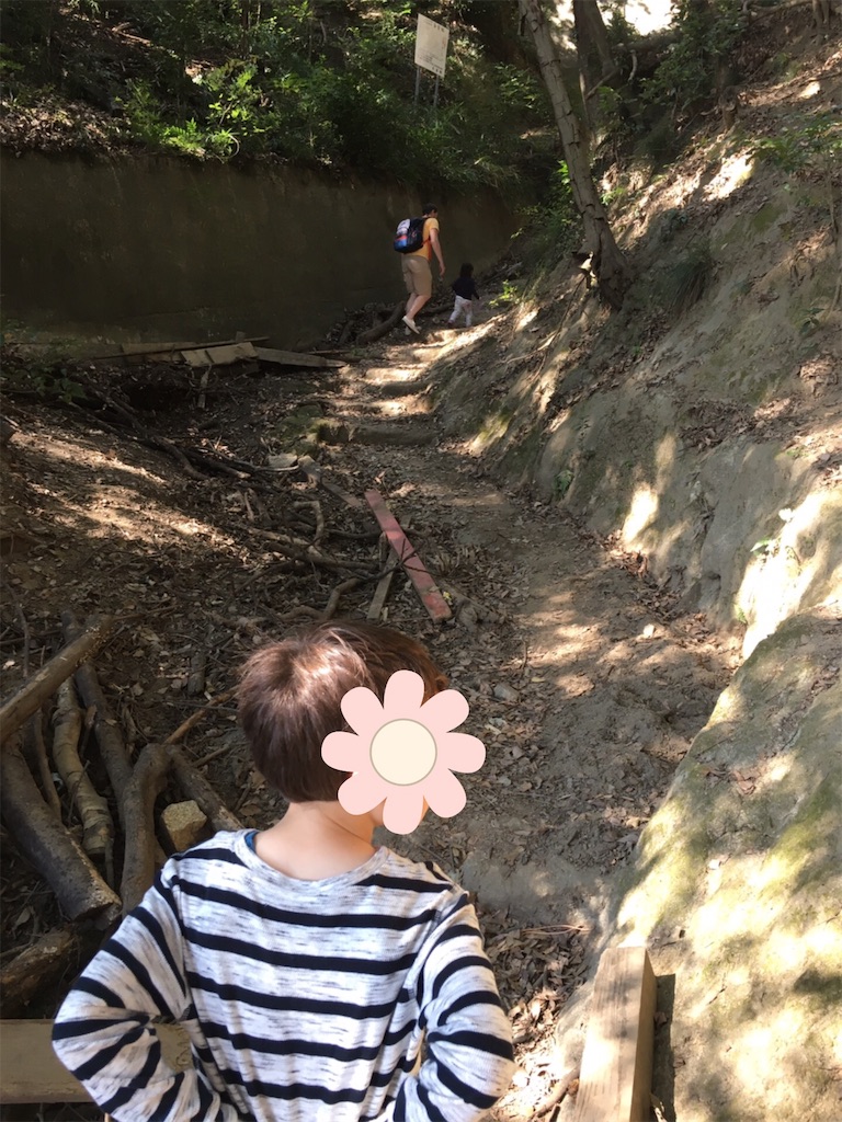 f:id:clumsymum:20181109142239j:image