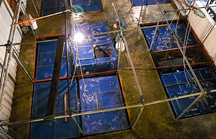 f:id:clutch-cafe:20161105081257j:plain