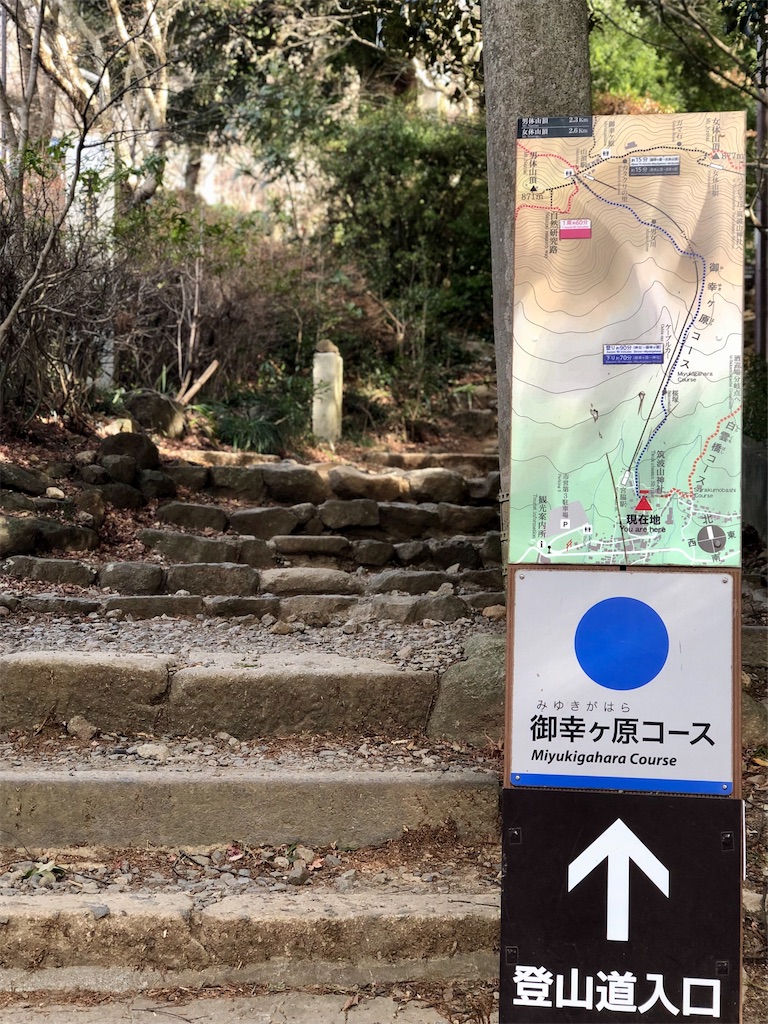 f:id:cmiyumiyu:20210311164320j:image f:id:cmiyumiyu:20210311164320j:image