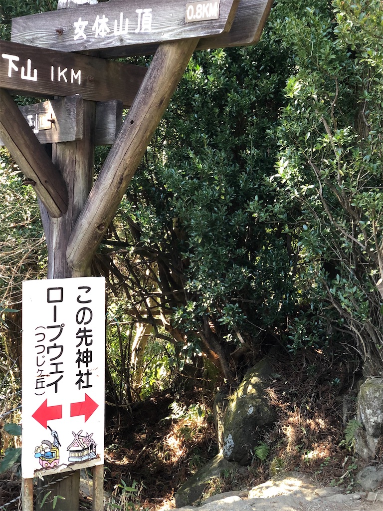 f:id:cmiyumiyu:20210311165053j:image f:id:cmiyumiyu:20210311165053j:image