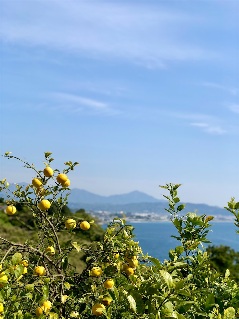 f:id:cmiyumiyu:20210729224113j:image f:id:cmiyumiyu:20210729224113j:image
