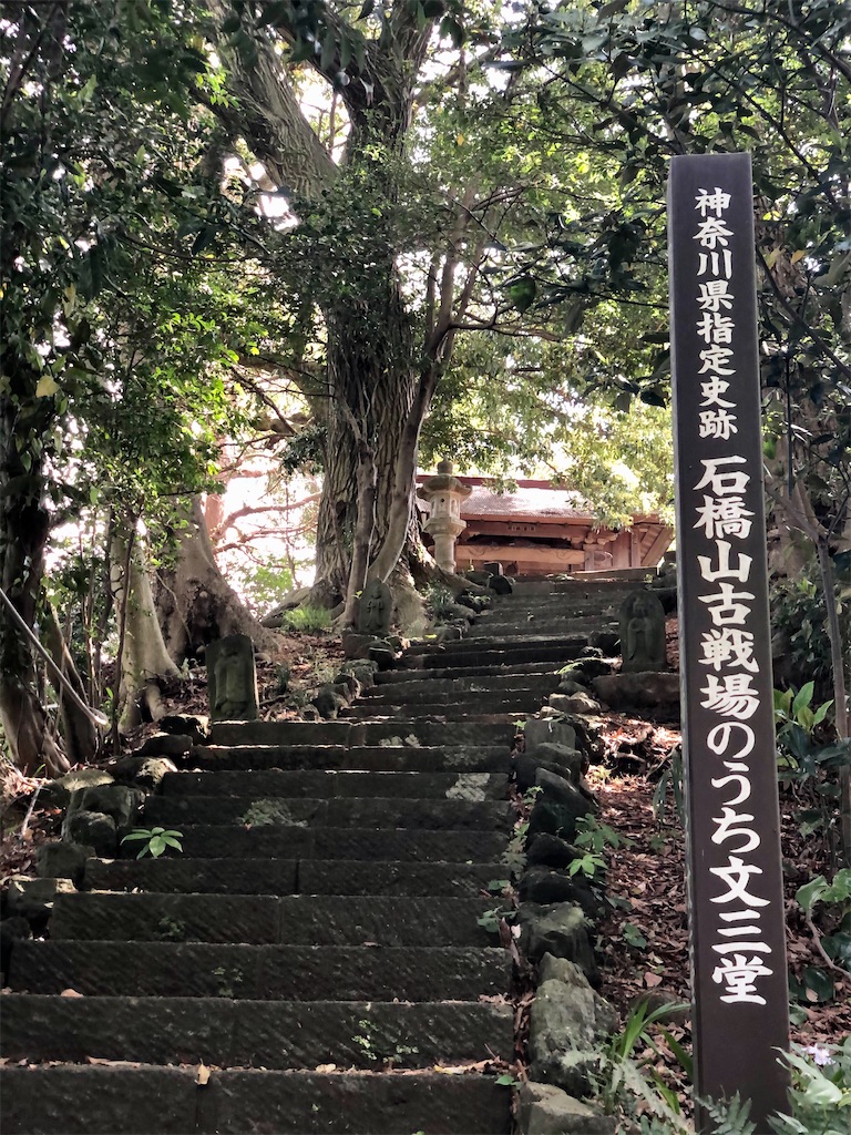 f:id:cmiyumiyu:20210729224238j:image f:id:cmiyumiyu:20210729224238j:image