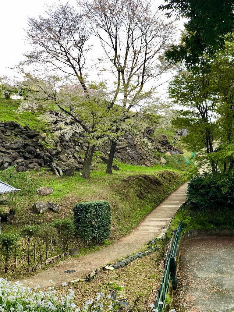 f:id:cmiyumiyu:20210729224715j:image f:id:cmiyumiyu:20210729224715j:image